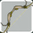 Arc Abraknyde Ancestral Arc Abraknyde Ancestral