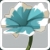 Fleur Bleue Fleur Bleue