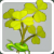 Bouquet Garni Bouquet Garni