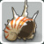 Coquille Agée Coquille Agée
