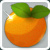 Orange Sangrine Orange Sangrine